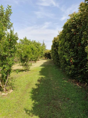 Гостиница Agriturismo Casapanetta  Пистиччи